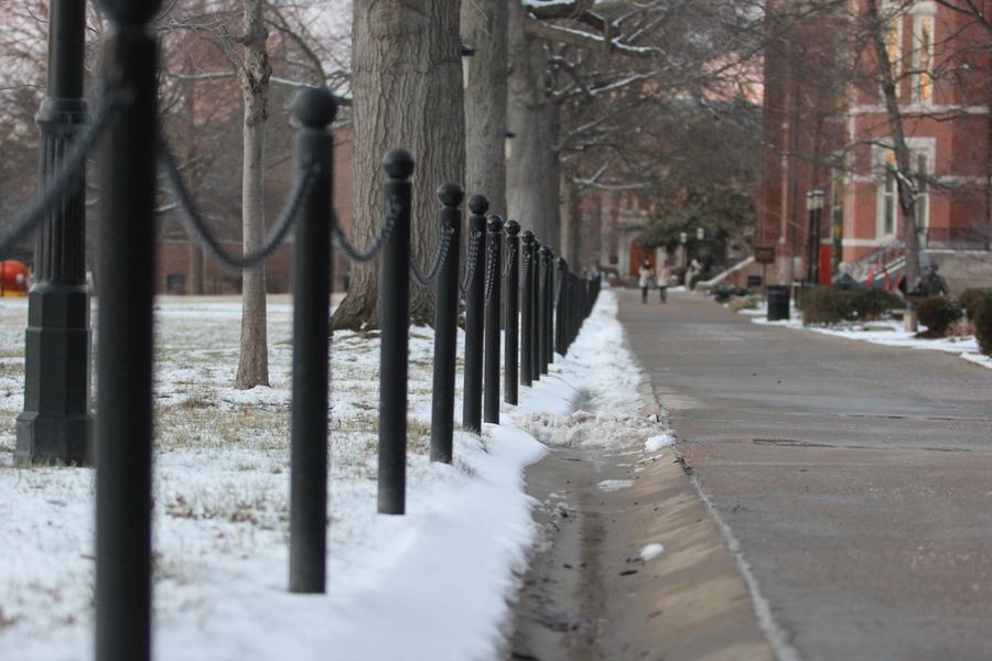 A pinch of snow makes everything beautiful