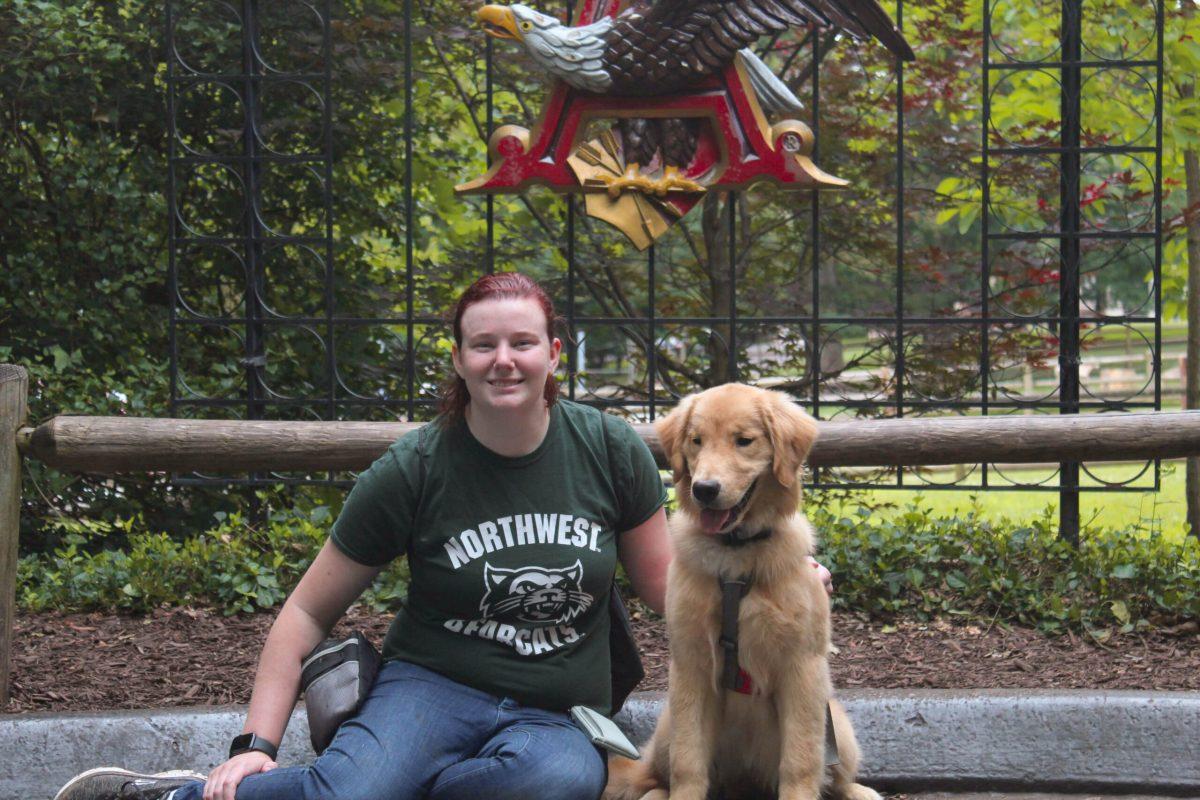 The rise of emotional support animals