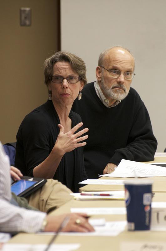 Faculty Council debates non-tenure track faculty designation