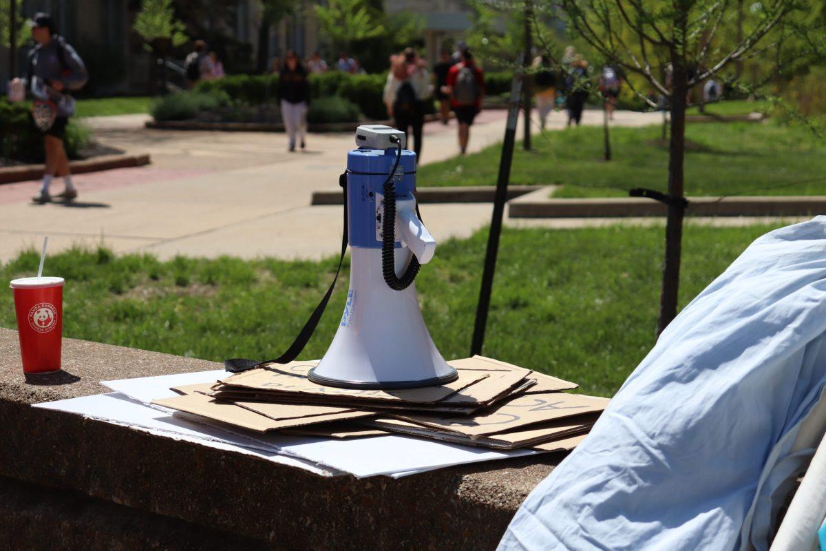 Bullhorn 1