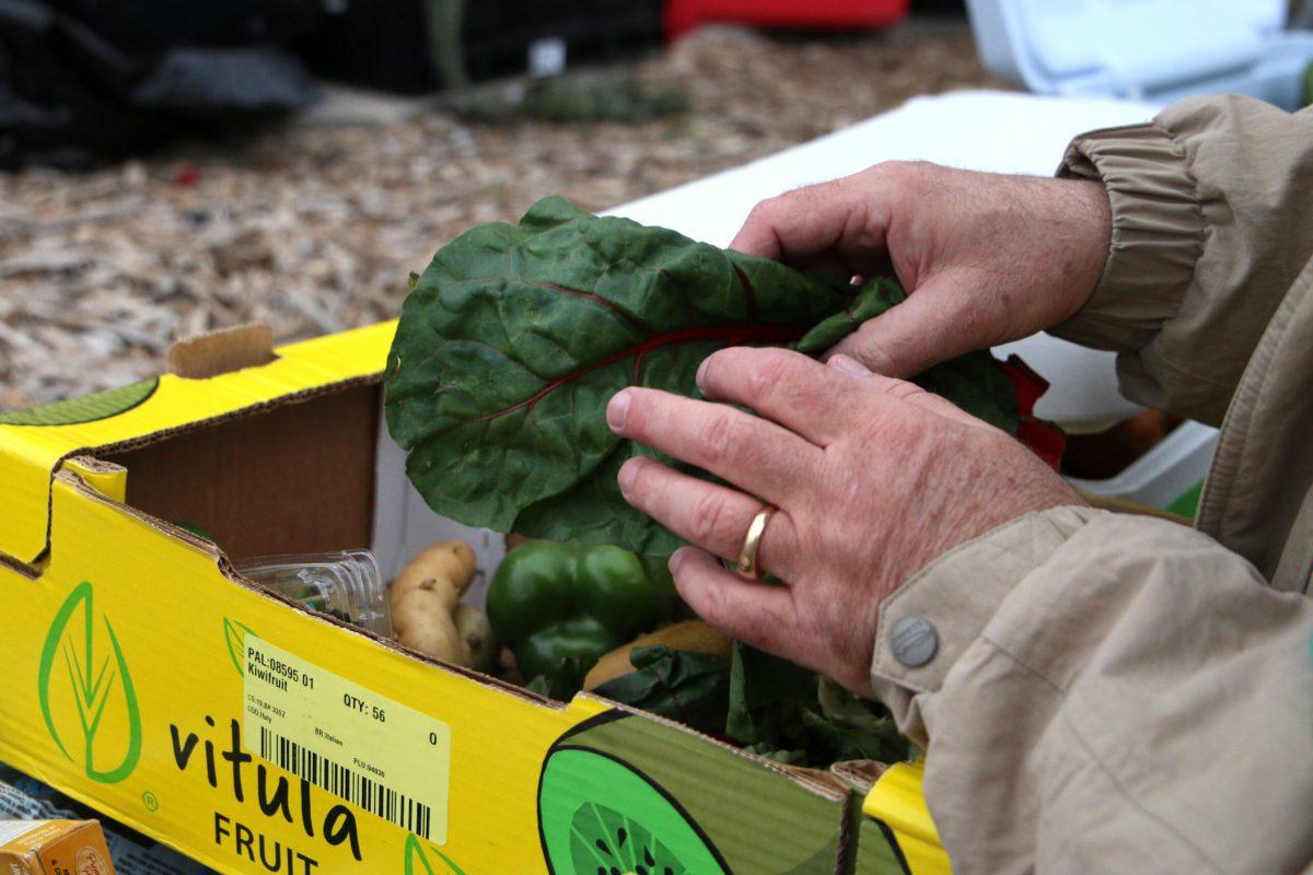 Foodnotbombscomo 03 18 2023 Gerwen 28 Edited