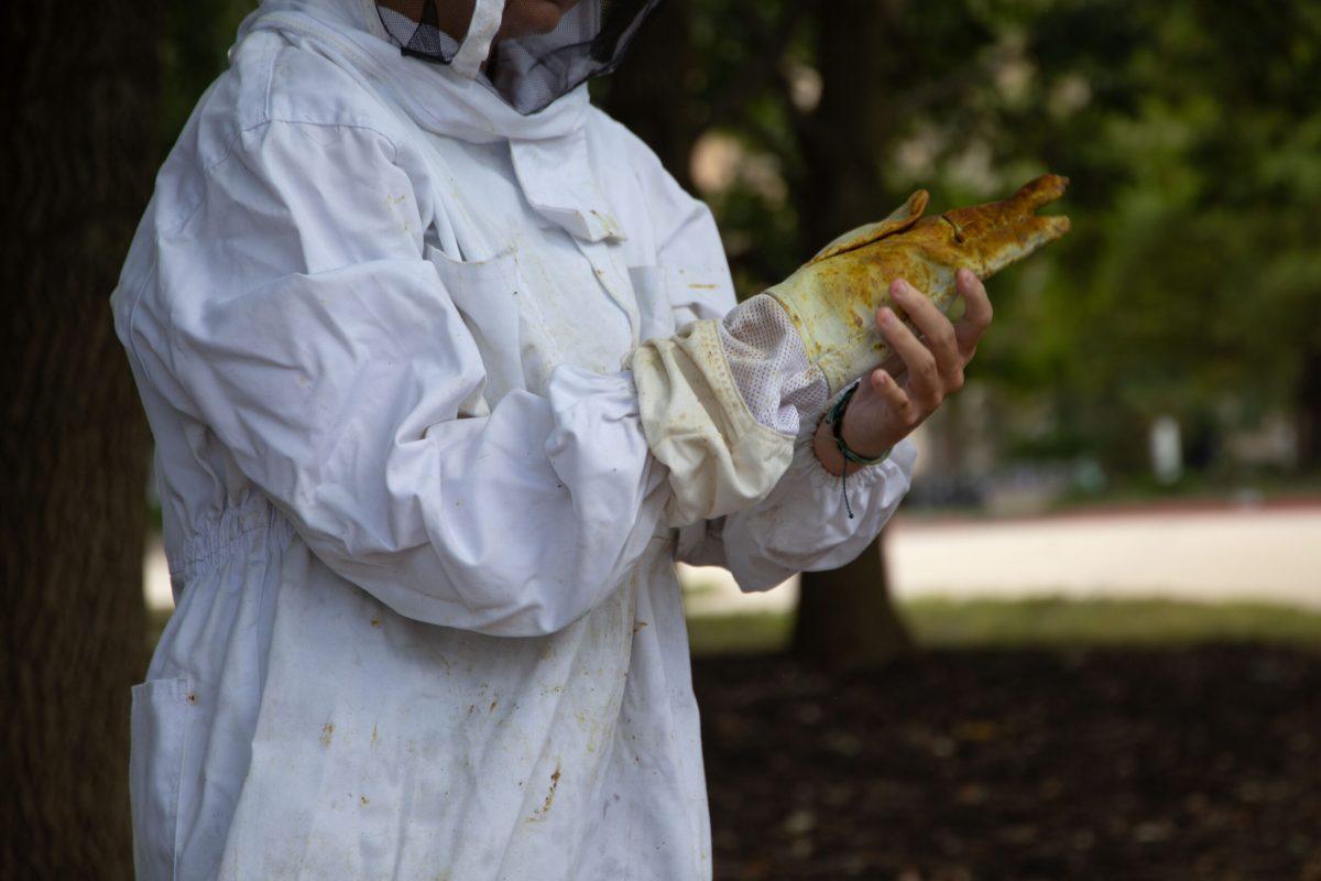 A beekeeper wears a white beekeeping suit and puts on yellow-stained gloves on their right hand.