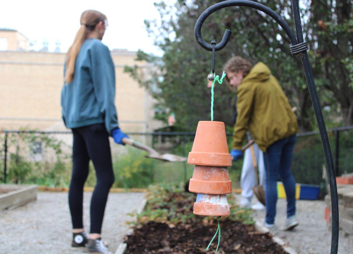 Students spread mulch over the soil in the garden beds.
