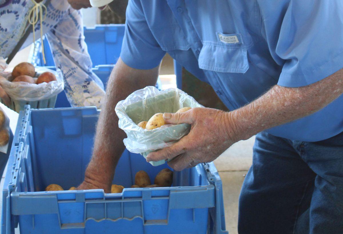 A vendor picks potatoes from a booth full of potatoes.

