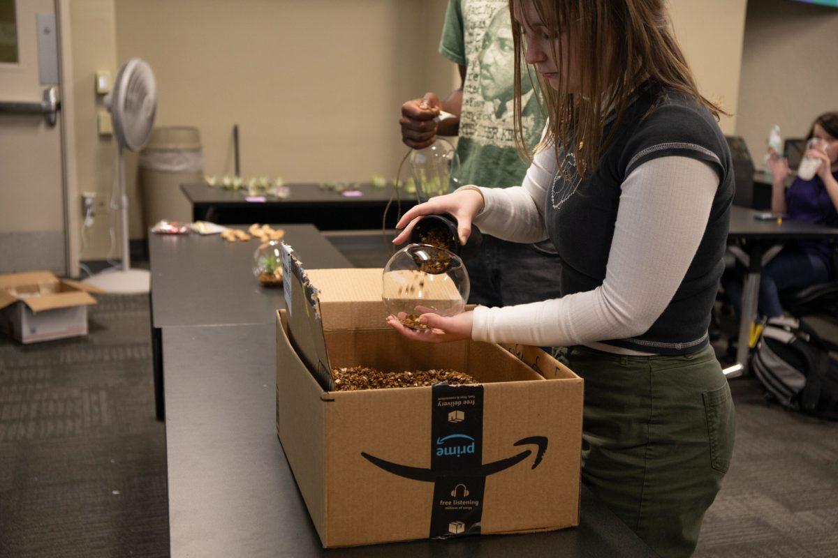 A student fills a terrarium with small rocks.
