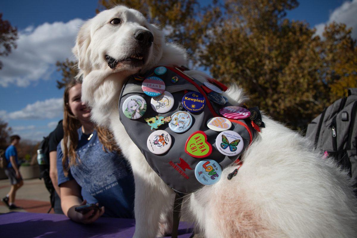 Luna wears a gray vest with a variety of buttons while looking over her shoulder.