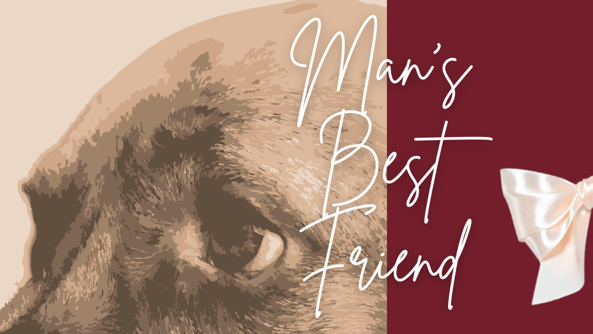 REVIEW: Manchildren beware: ‘Man’s Best Friend’ is for Nobody’s Son